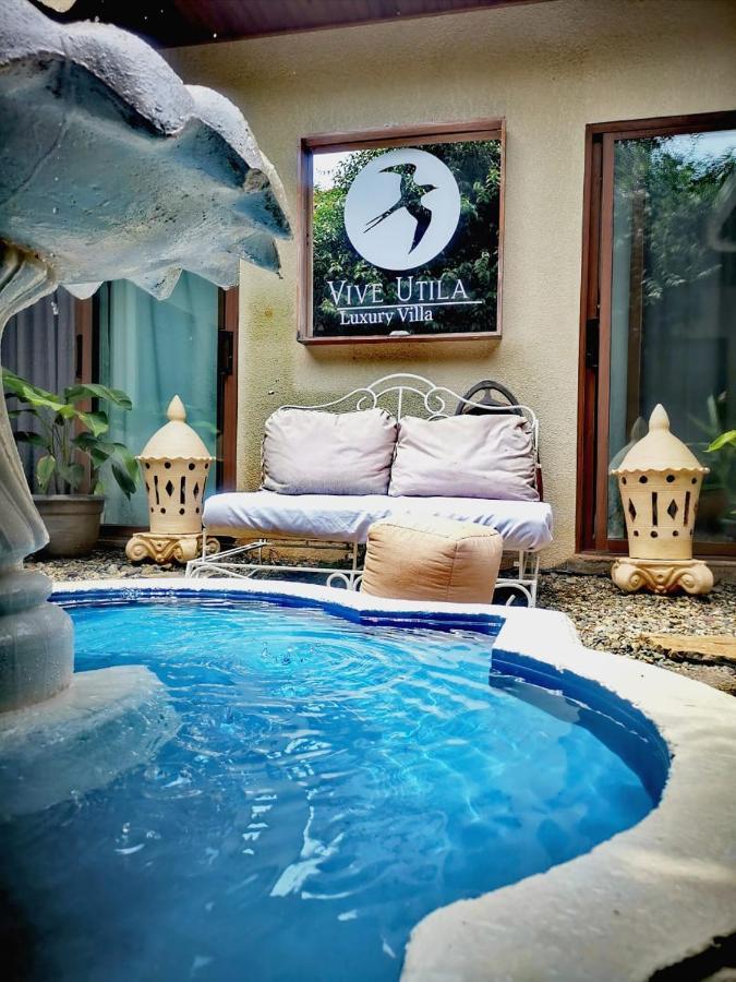 Vive Utila - Bed & Breakfast 외부 사진