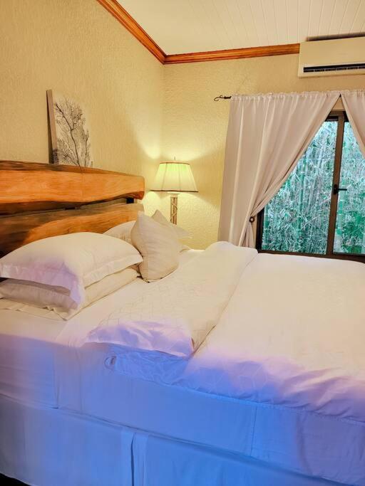 Vive Utila - Bed & Breakfast 외부 사진