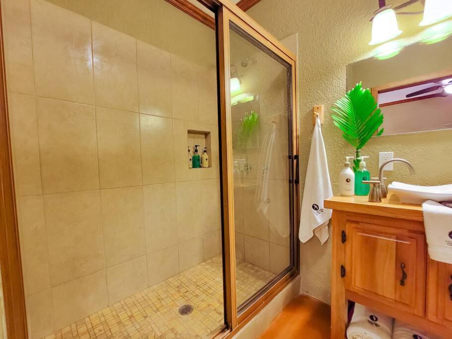 Vive Utila - Bed & Breakfast 외부 사진