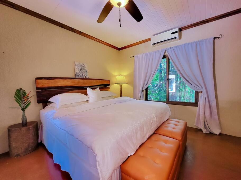 Vive Utila - Bed & Breakfast 외부 사진