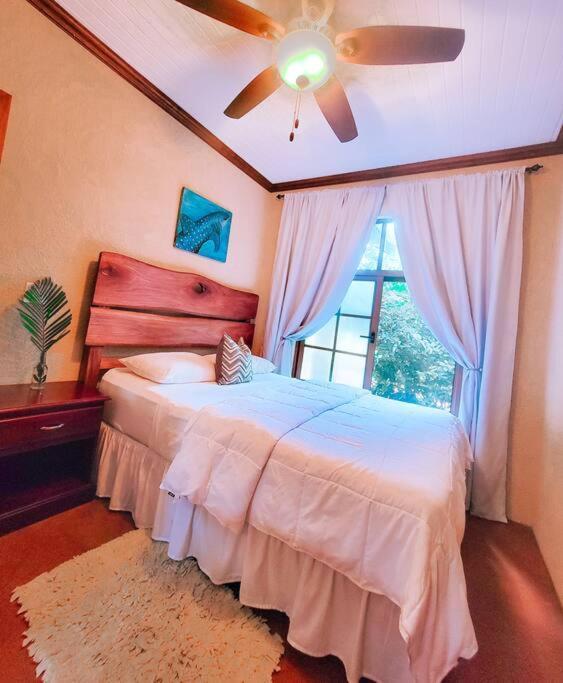 Vive Utila - Bed & Breakfast 외부 사진