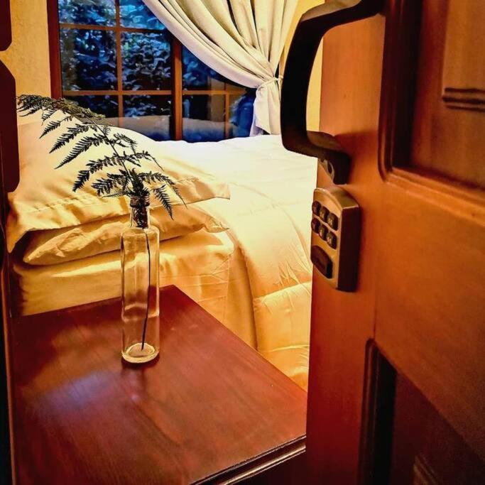 Vive Utila - Bed & Breakfast 외부 사진