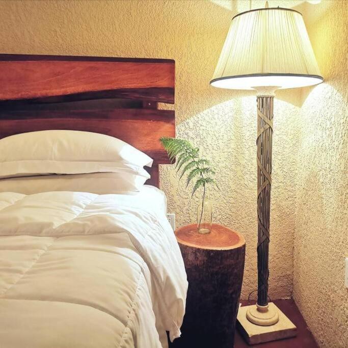 Vive Utila - Bed & Breakfast 외부 사진
