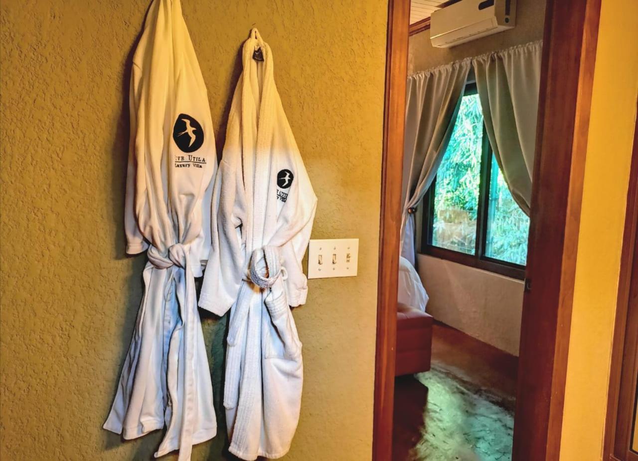 Vive Utila - Bed & Breakfast 객실 사진