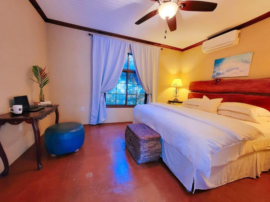 Vive Utila - Bed & Breakfast 외부 사진